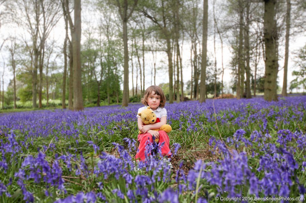 a girl sat in a field of bluebells with winnie the pooh