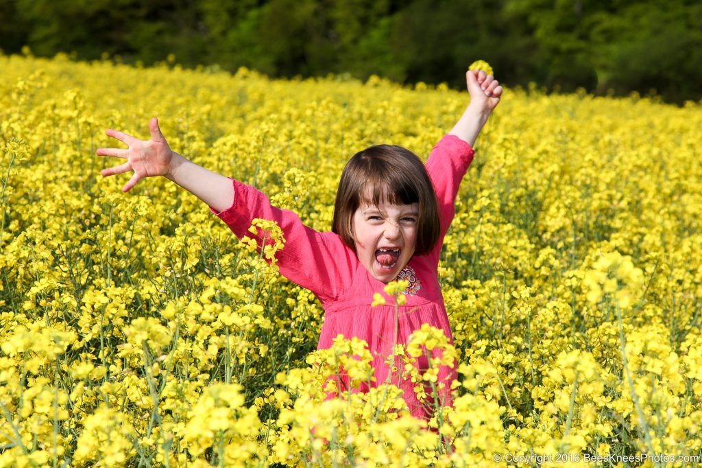 a red dress in a field of yellow flowers