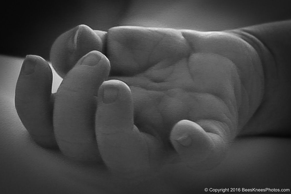 a tiny babys hand
