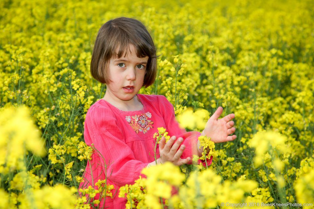 girl in a red dress in a field of yellow flowers