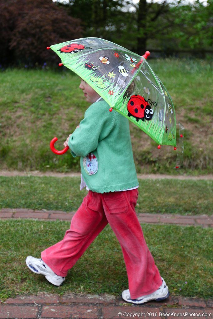 girl walking with a ladybird umbrella