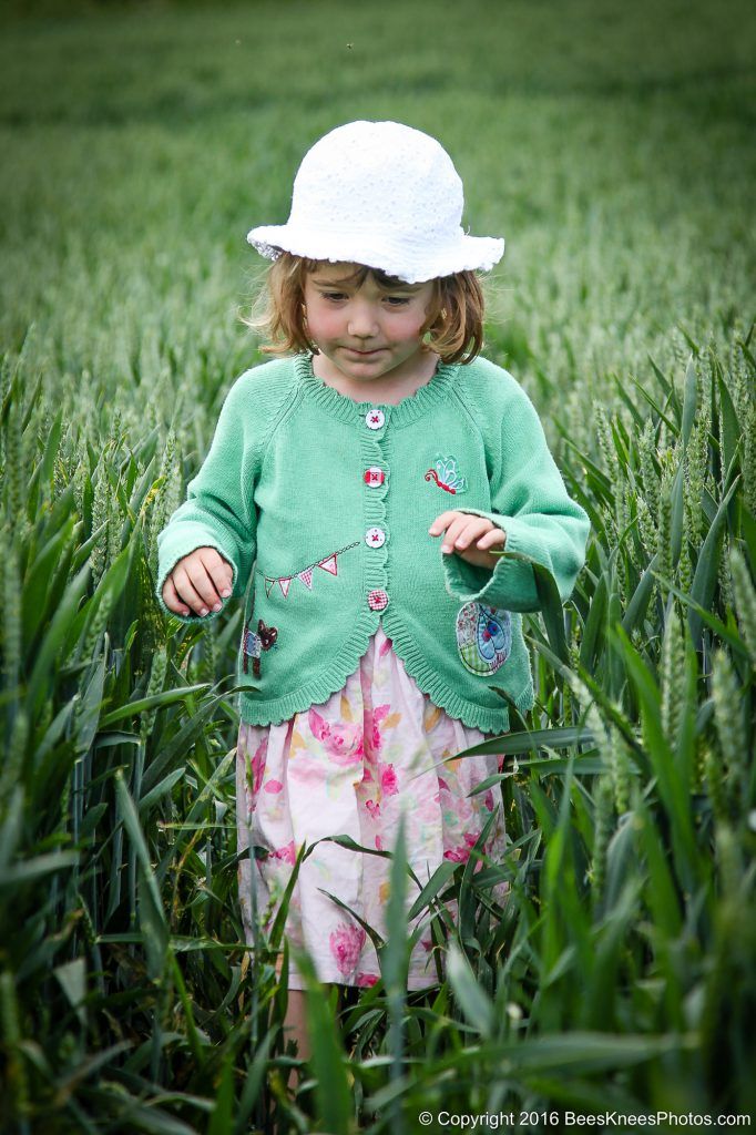 young girl wallking through a cornfield